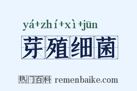 芽殖细菌是什么意思的图片